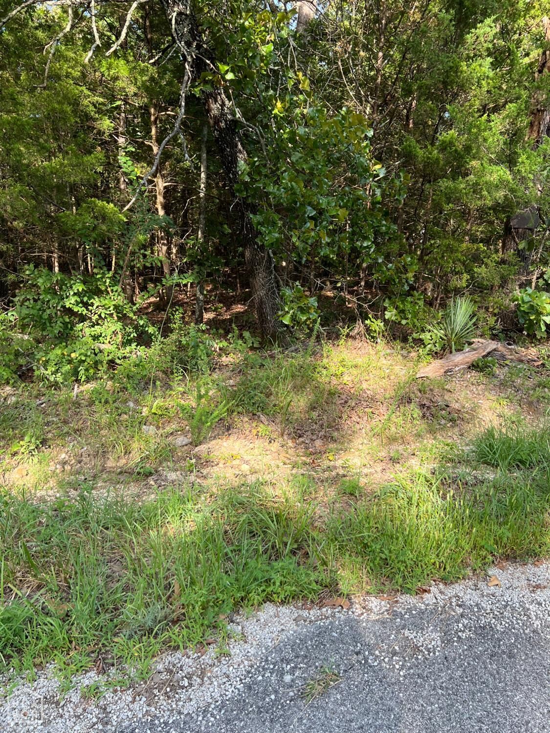 Property Photo: 102 N. Nightingale Drive AR 72512