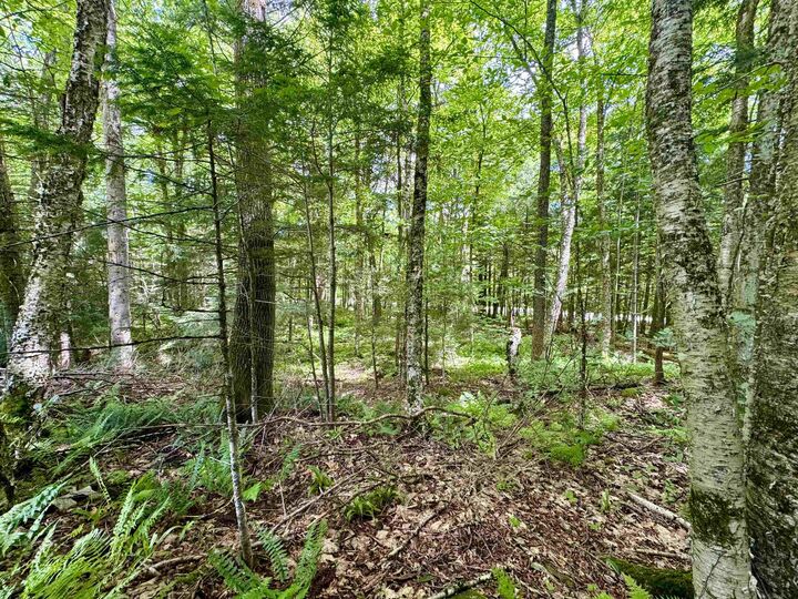 Property Photo: 0 Tyler Farm Road VT 05051