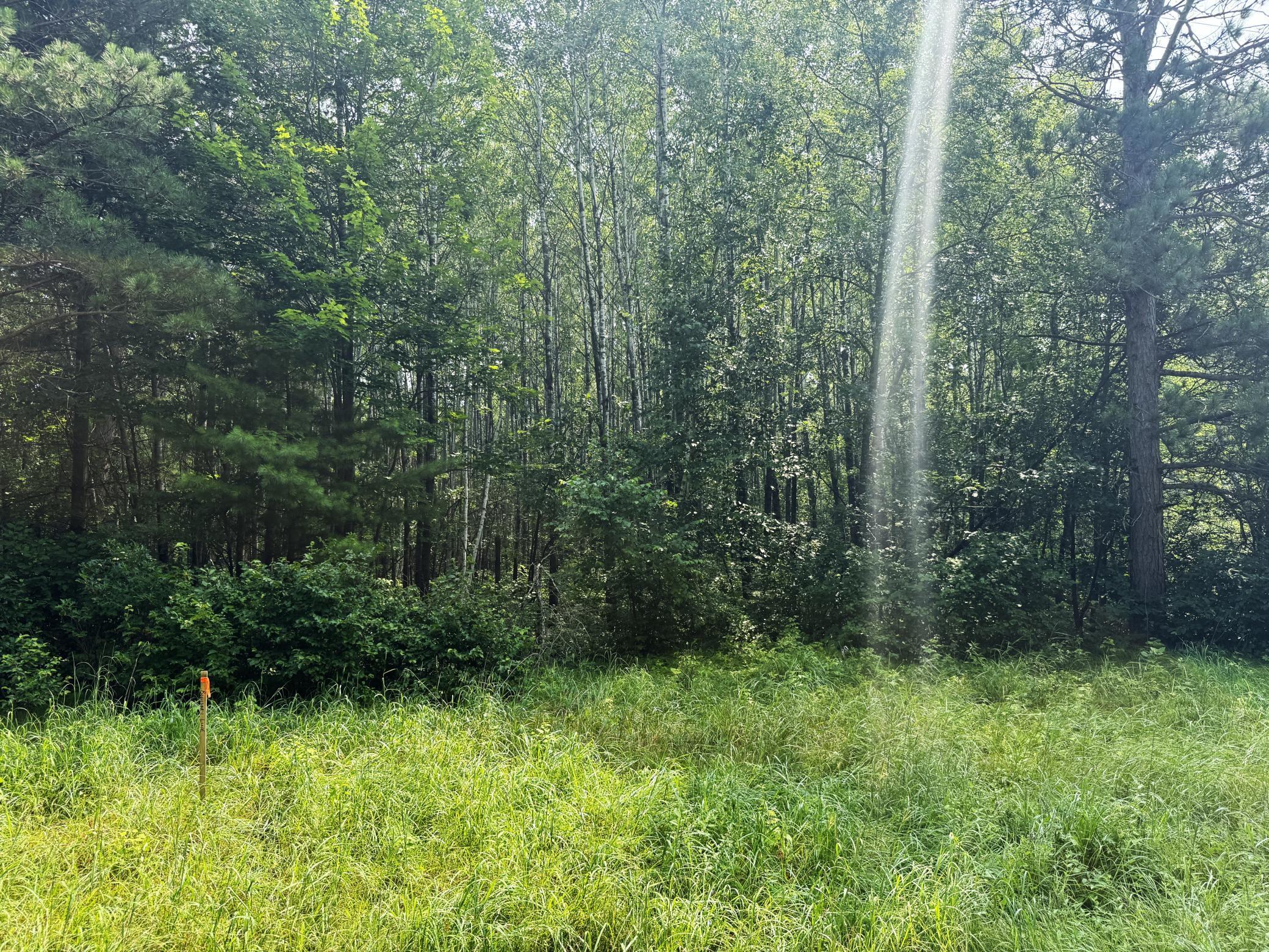 Property Photo: 000 Sunset Valley Road MN 56468