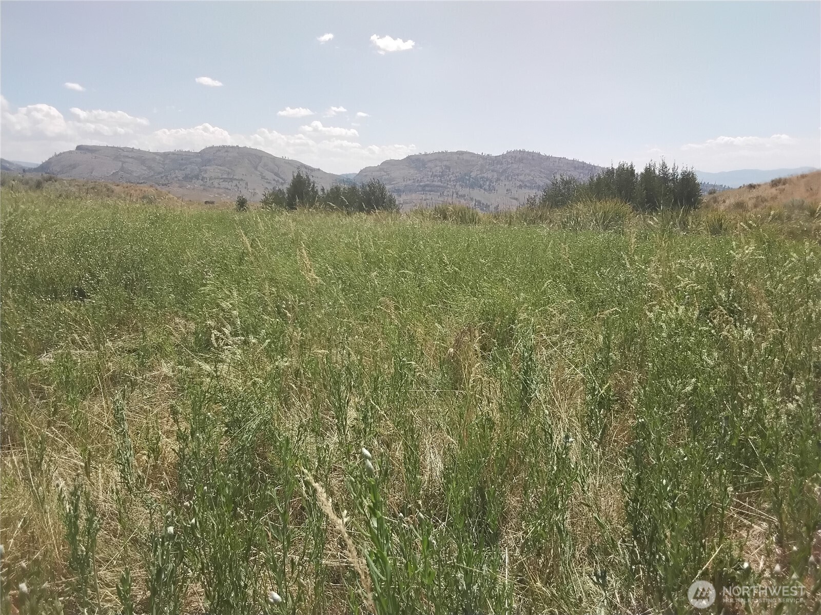 Property Photo:  0  Painted Rock Road  WA 98855 