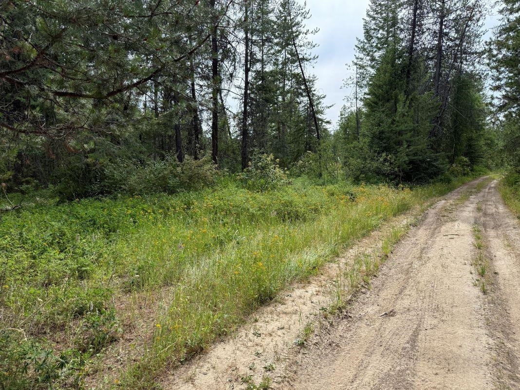 Property Photo: Lot 1 Springdale Hunters Rd WA 99173