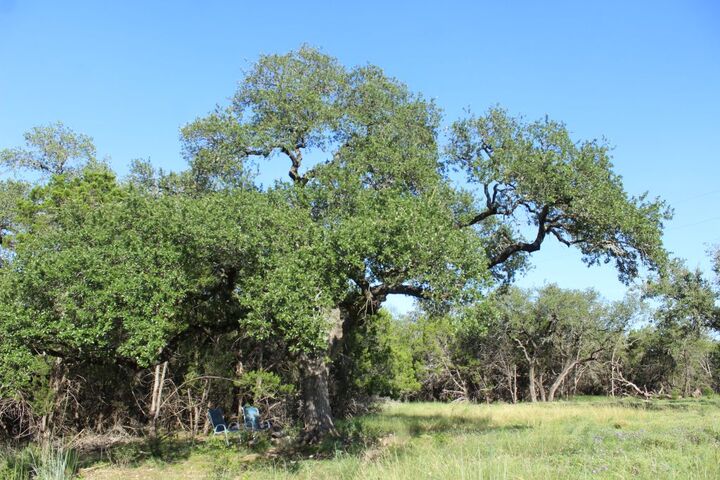 Property Photo: Lot-56 Travis Oaks Drive Drive TX 78654