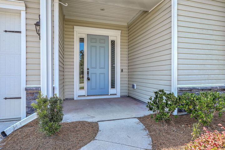 Property Photo: 386 Tupelo Lake Drive SC 29486