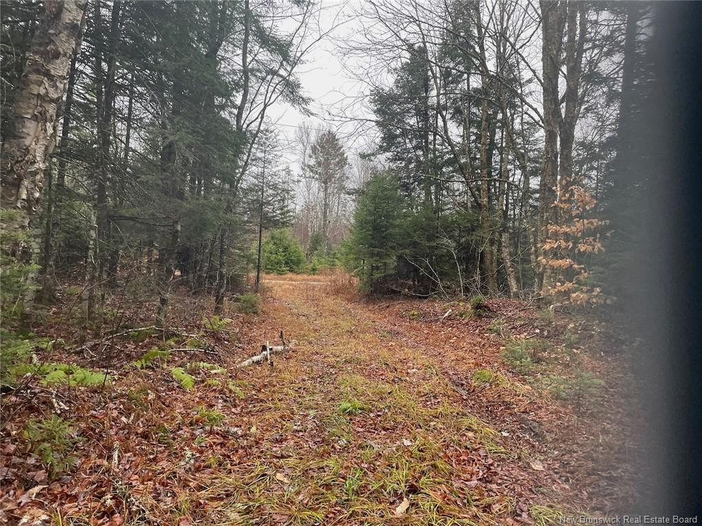 Property Photo:  Woodlot Royal Road  NB E3A 6L9 