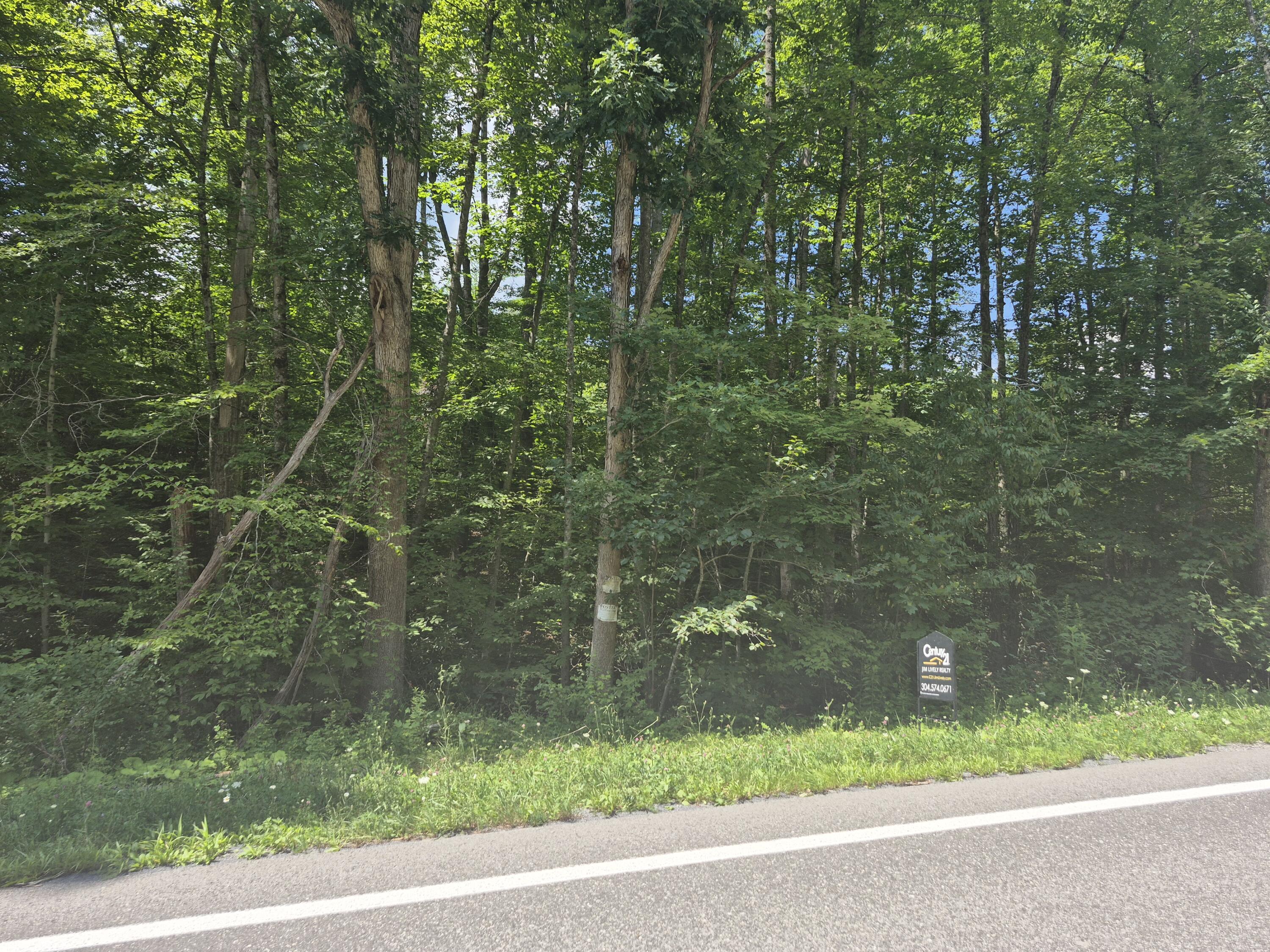 Property Photo:  Stanaford Road  WV 26680 