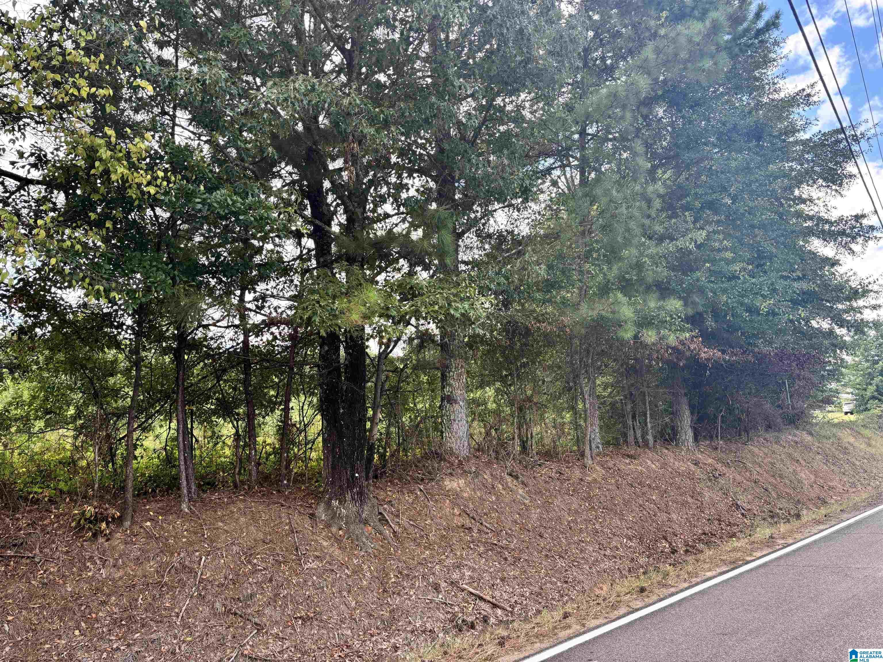 Property Photo: 9490 Bankston Road 1 AL 35062