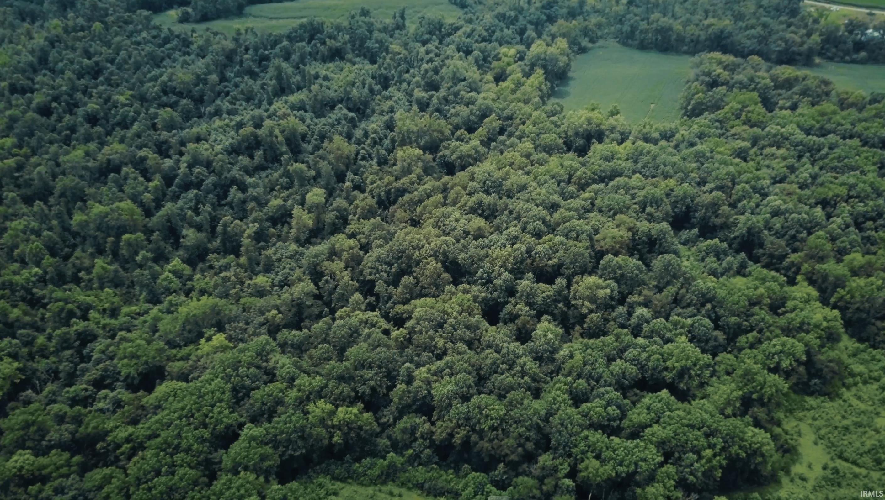 Property Photo:  6016 E Co Rd 550 N  IN 47564 