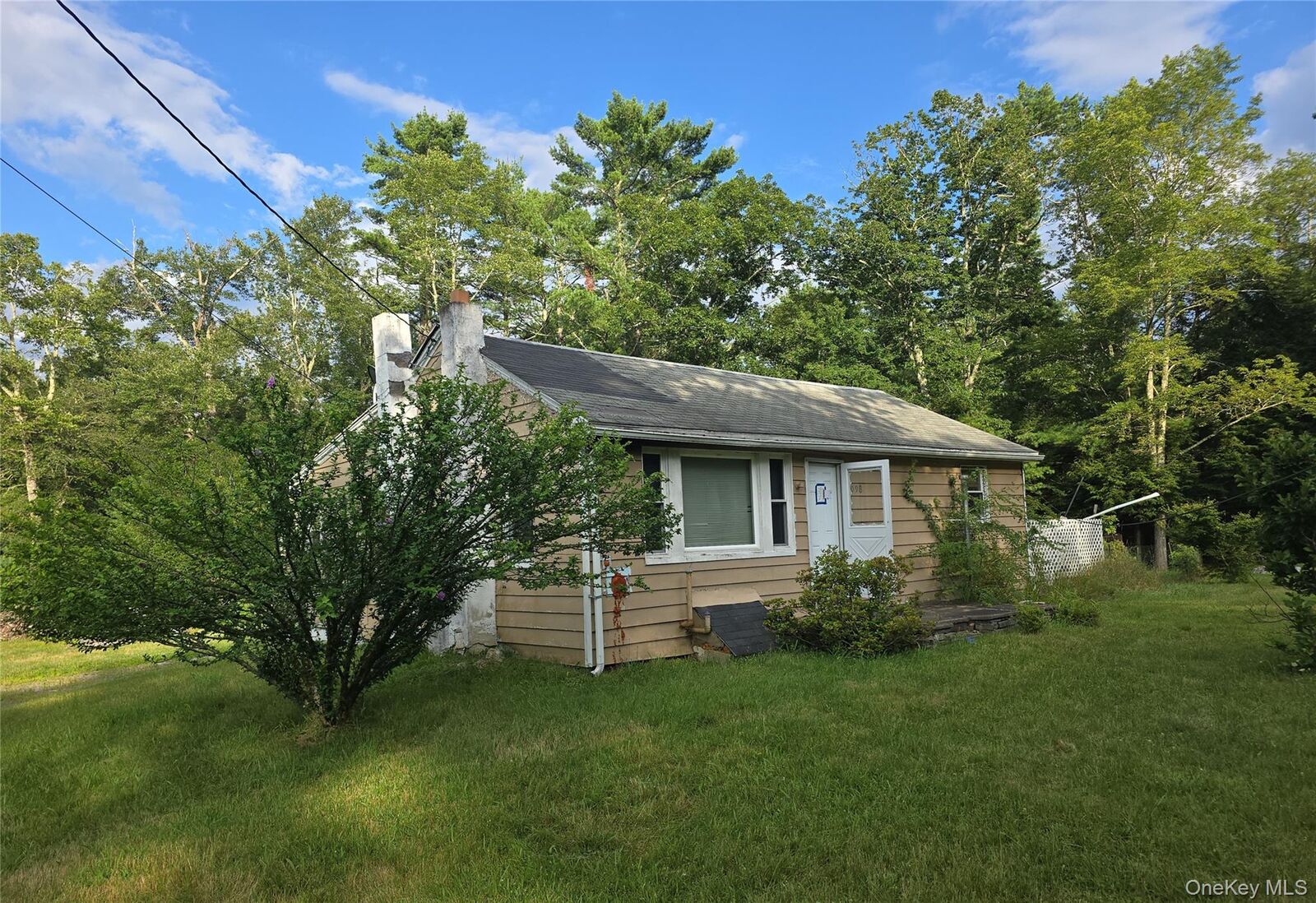 Property Photo: 1098 State Route 42 NY 12780
