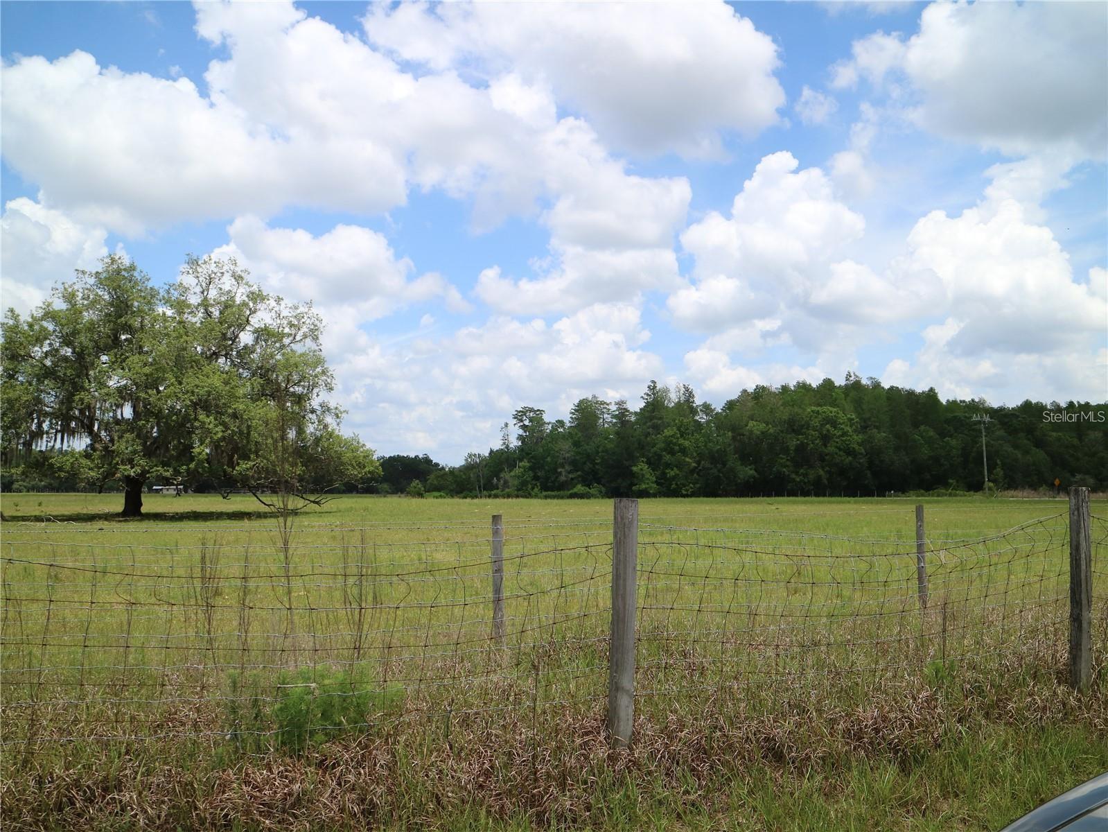 Property Photo:  11819 Tarpon Springs Road  FL 33556 