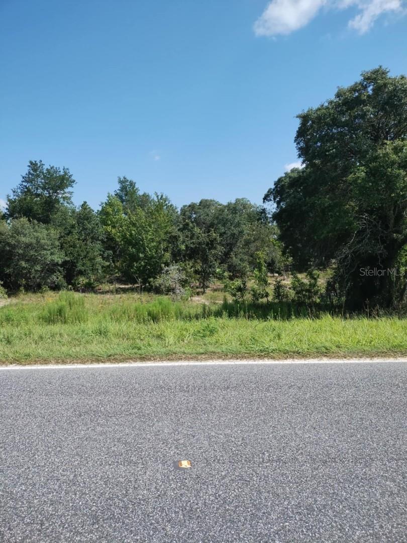 Property Photo: 0 Levy Street E FL 32696
