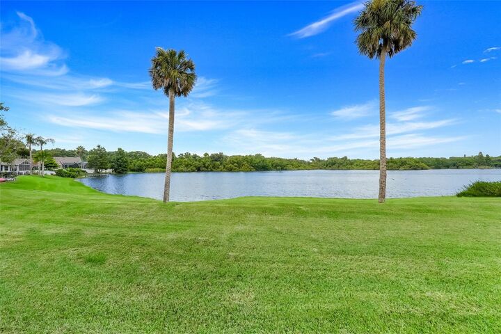 Property Photo:  1019 Bj Brandy Cove  FL 34787 