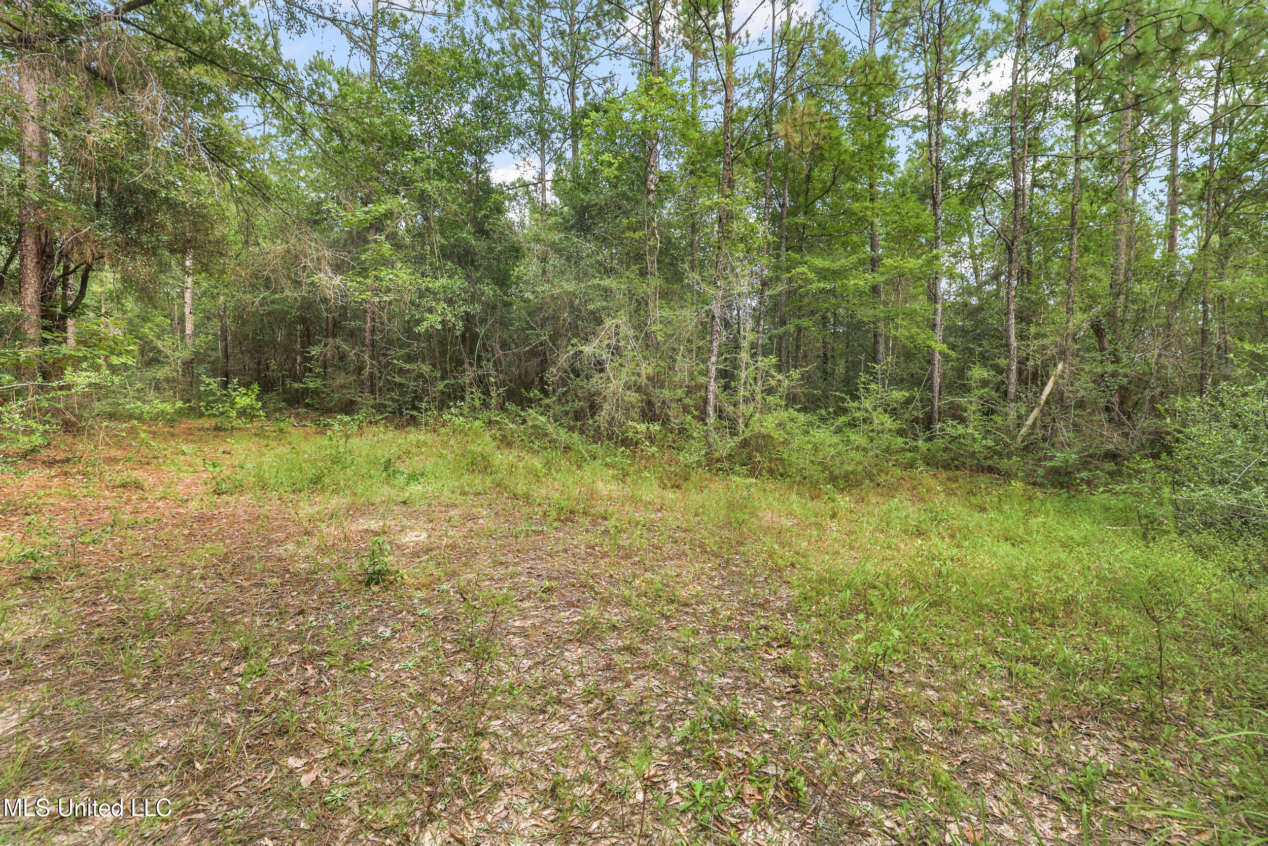 Property Photo: 0 Yankee Town Road MS 39574