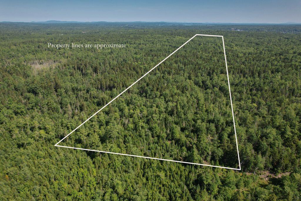 Property Photo: 195 Surry Road ME 04605