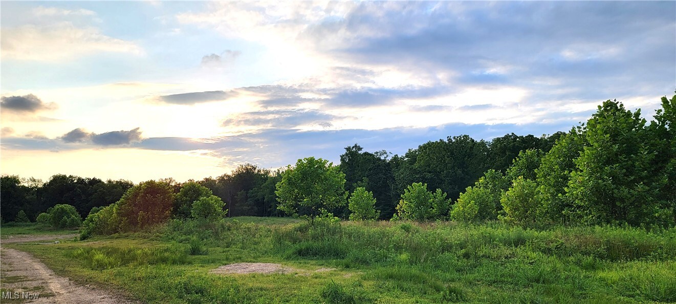 Property Photo: Vl3 Hidden Ridge Road OH 44133