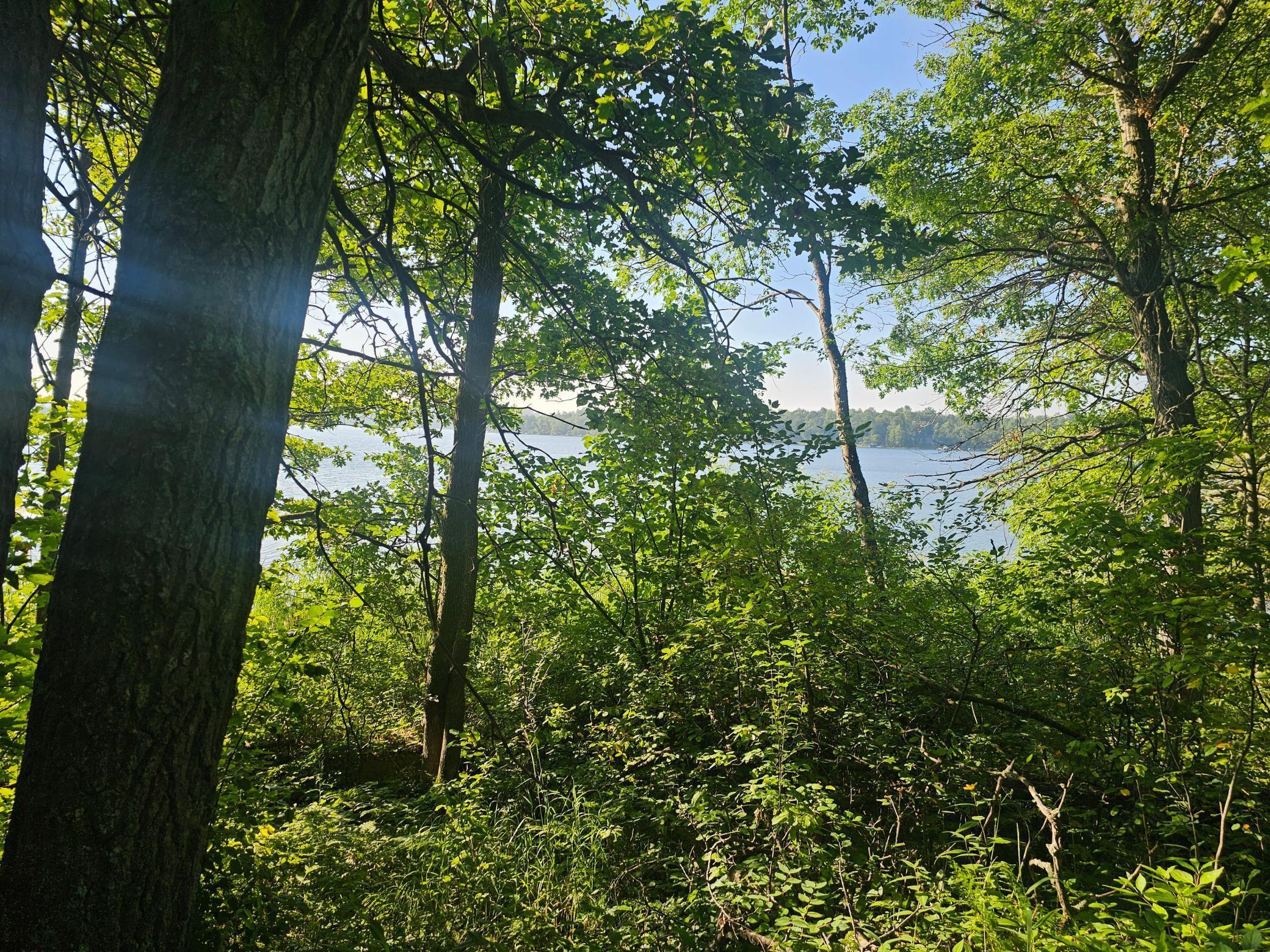 Property Photo:  Tbd Rabbit Lake Drive  MN 56441 