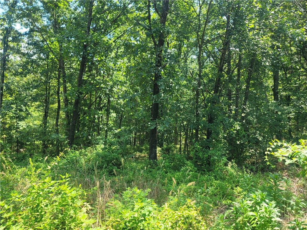 Property Photo:  Lot 22, Block 4 Nairn Lane  AR 72715 