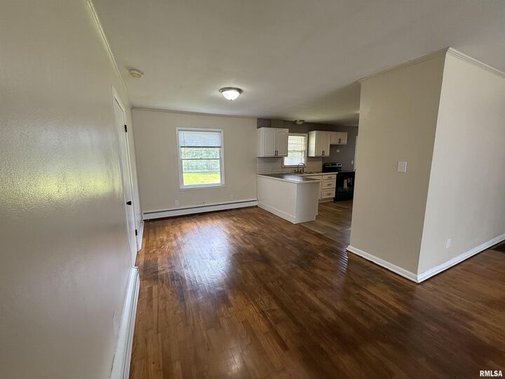 Property Photo:  517 Frederick Street  IL 62948 