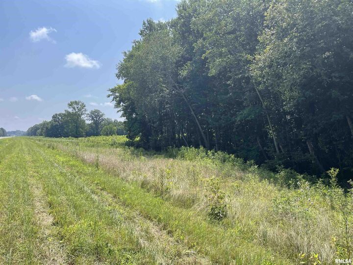 Property Photo: 000 State Route 146 W Street IL 62995