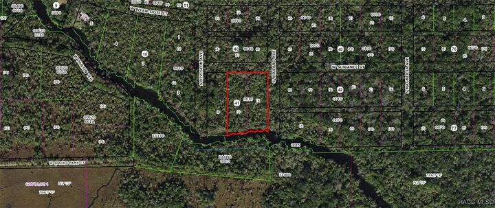 Property Photo: 10888 W Suwanee Street FL 34448