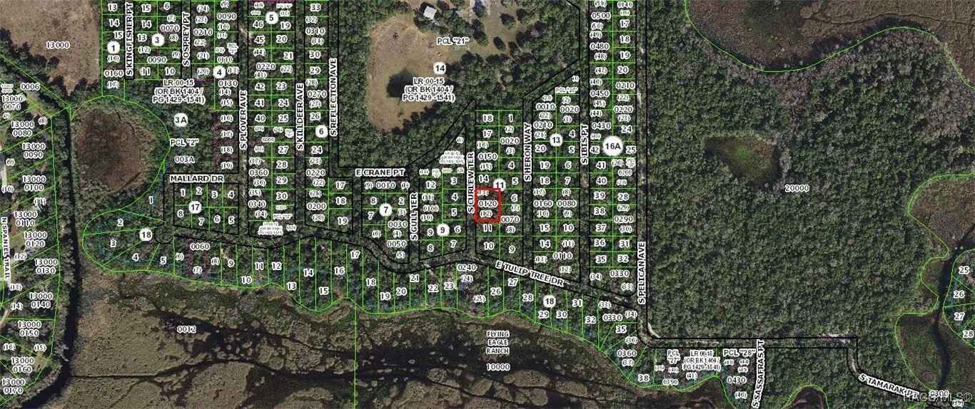Property Photo: 4013 S Curlew Terrace FL 34450