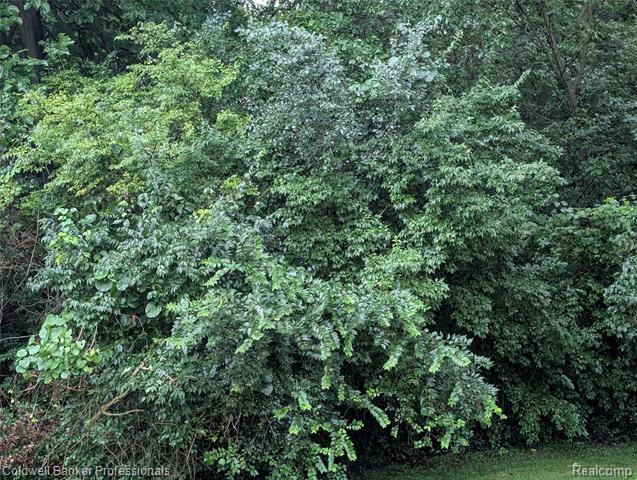 117 Southwood  Mancelona Twp MI 49659 photo