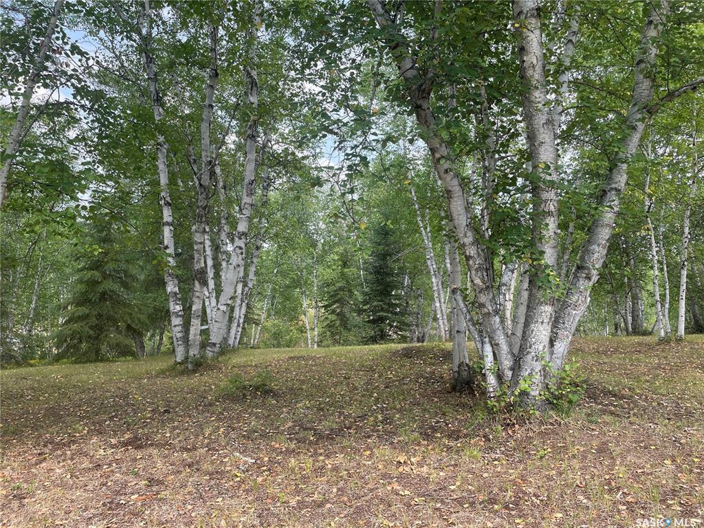 Property Photo:  Rural Address  SK S0J 0E0 