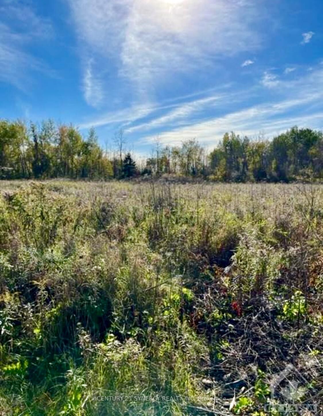 Property Photo:  25 Honey Bee Grove  ON K0A 2Z0 