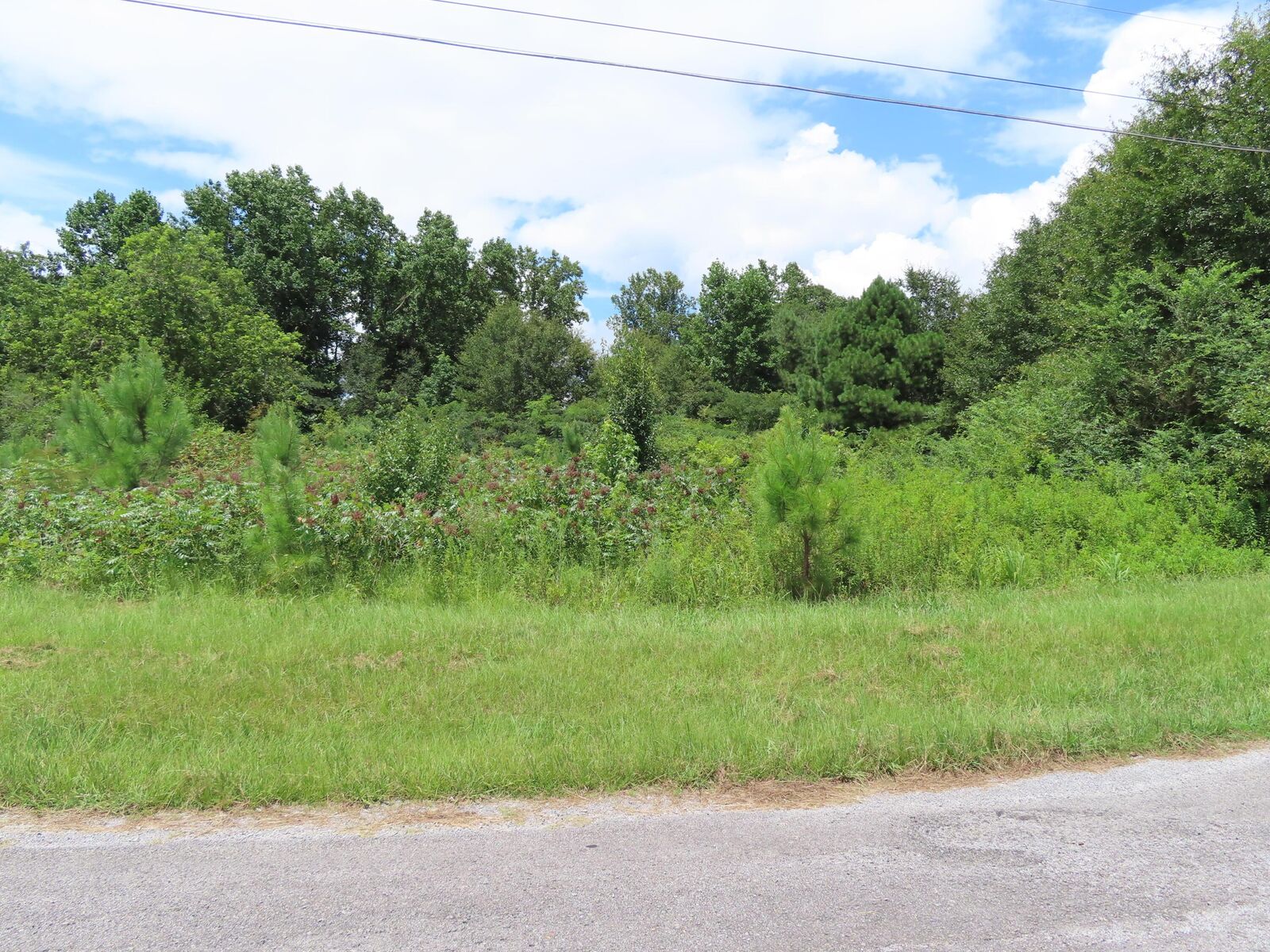 Property Photo:  German Rd  AL 35578 