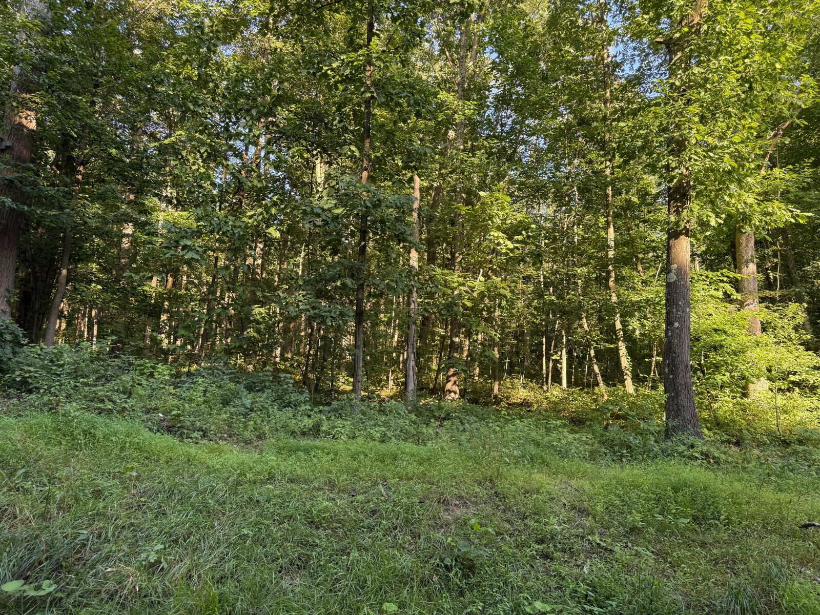Property Photo:  871 Morrow Rd  PA 15747 