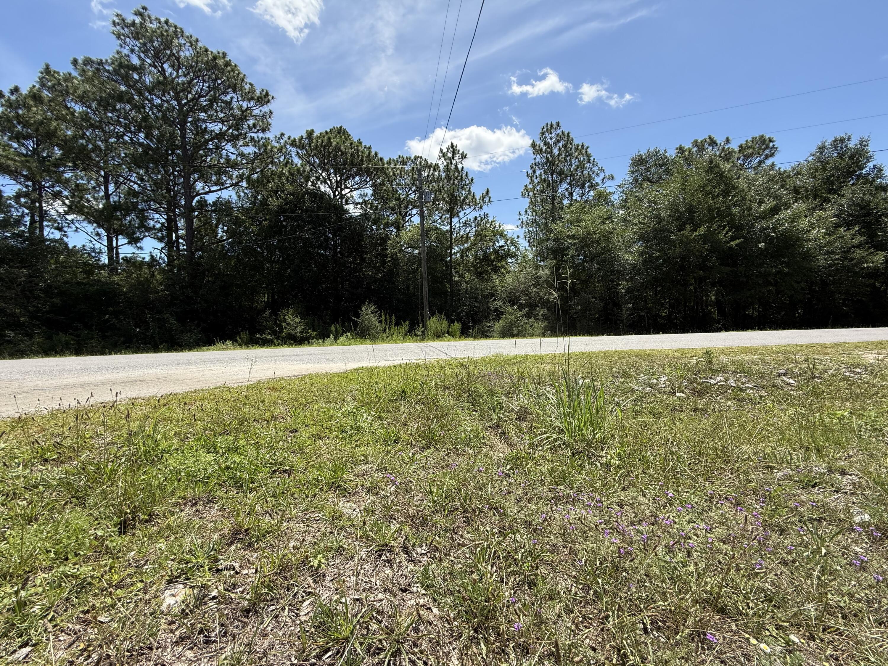 Property Photo:  Lots 3233 Blk 25 Trout Road Drive  FL 32433 