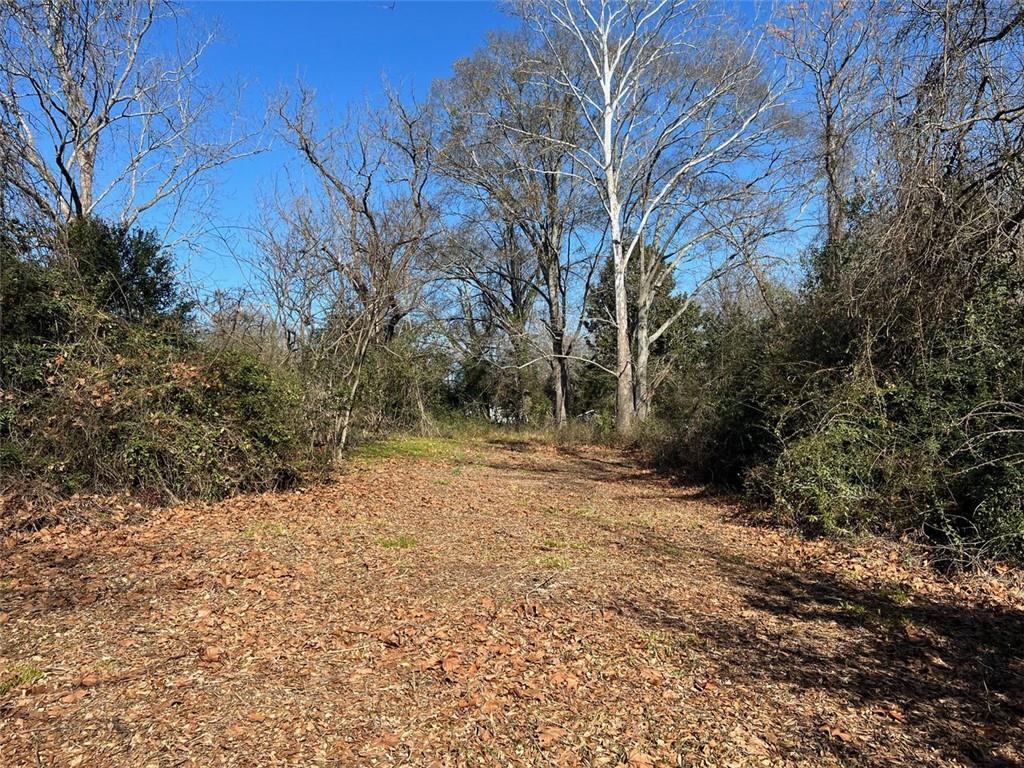 Property Photo: 113 W Washington Street GA 30263