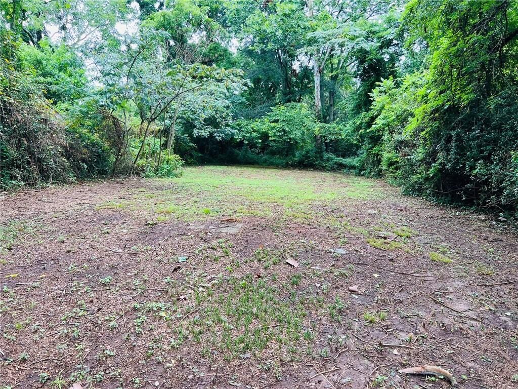 Property Photo:  113 W Washington Street  GA 30263 