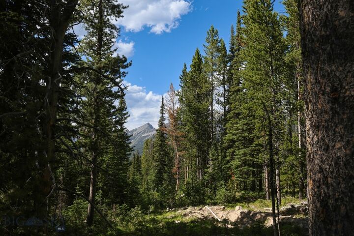 Property Photo: Tbd Beehive Basin Road MT 59716
