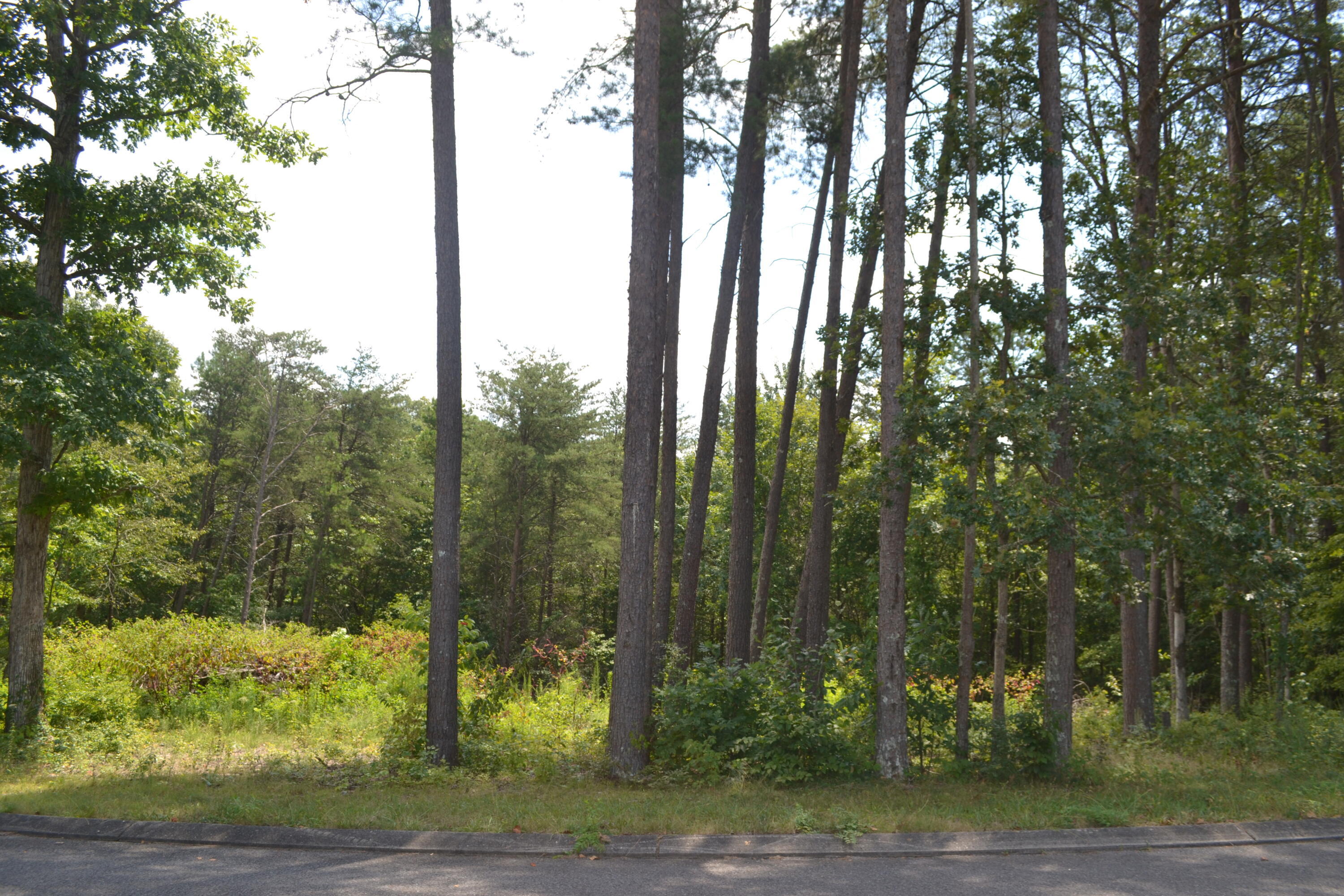 Property Photo:  0 Countryside Drive  TN 37327 
