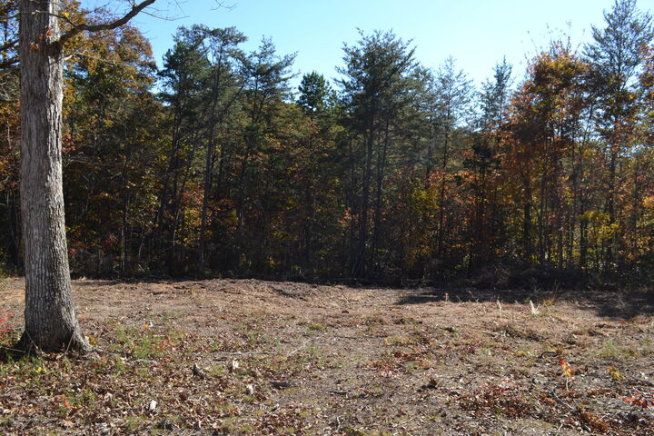 Property Photo:  16 Countryside Drive  TN 37327 