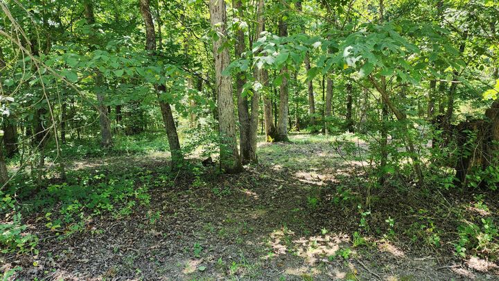 Property Photo:  Tbd County Road 433  MO 65063 