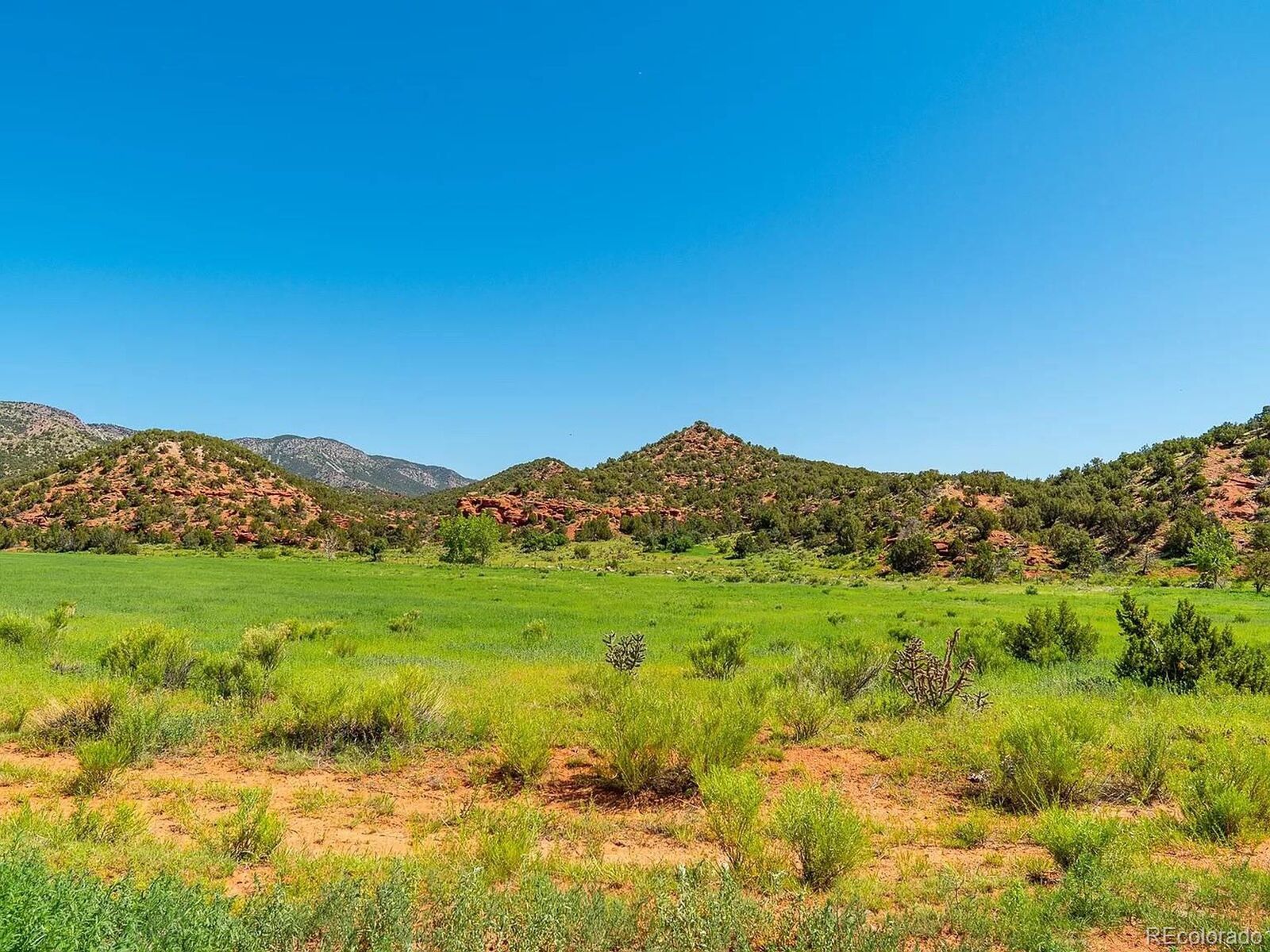 Property Photo: 10 Rice Mountain Way CO 81215