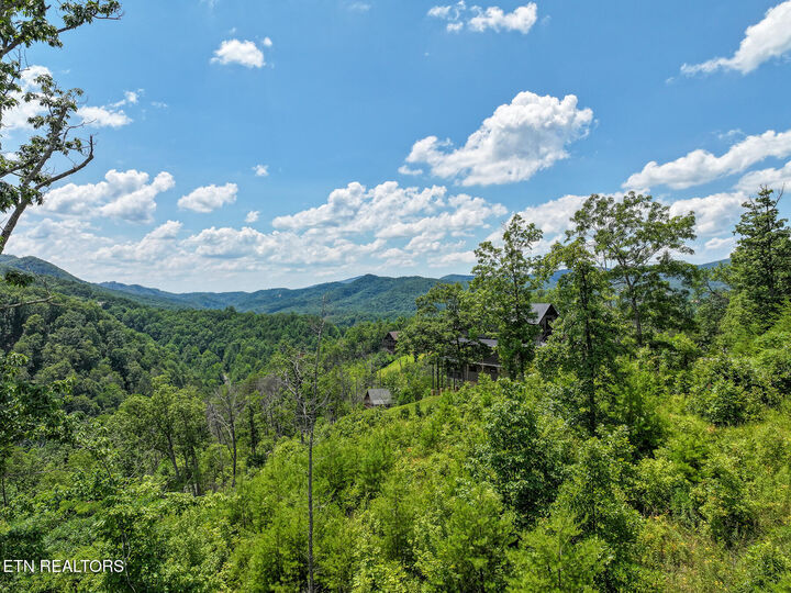 Property Photo:  Lot 24 Coopers Hawk Way  TN 37862 