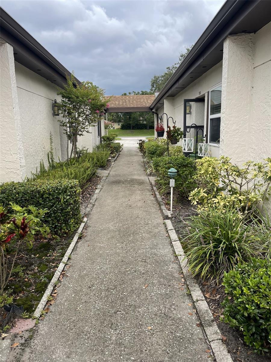 Property Photo: 3117 Mission Grove Drive FL 34684