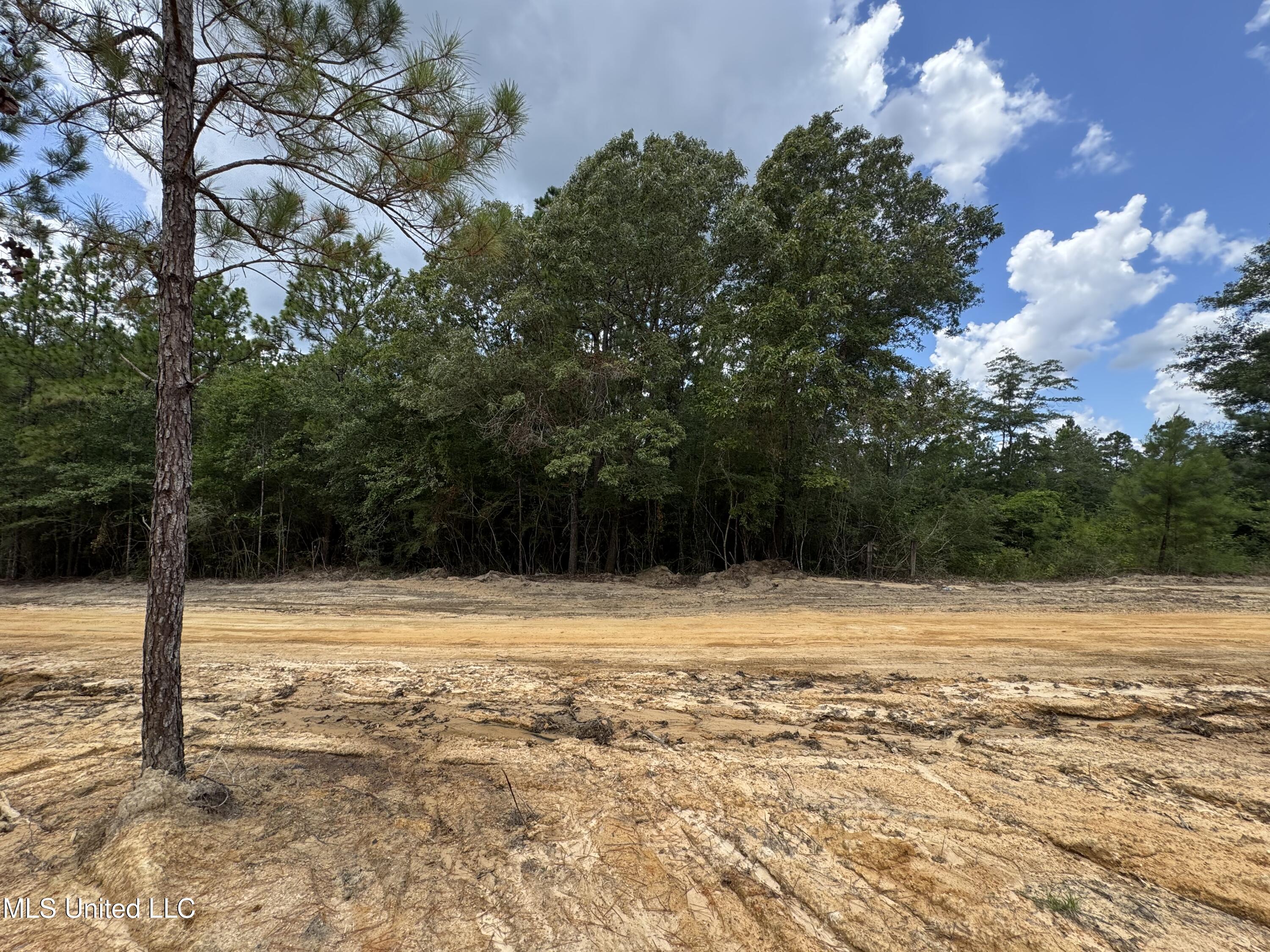 Property Photo: 00 Joshua Road MS 39561