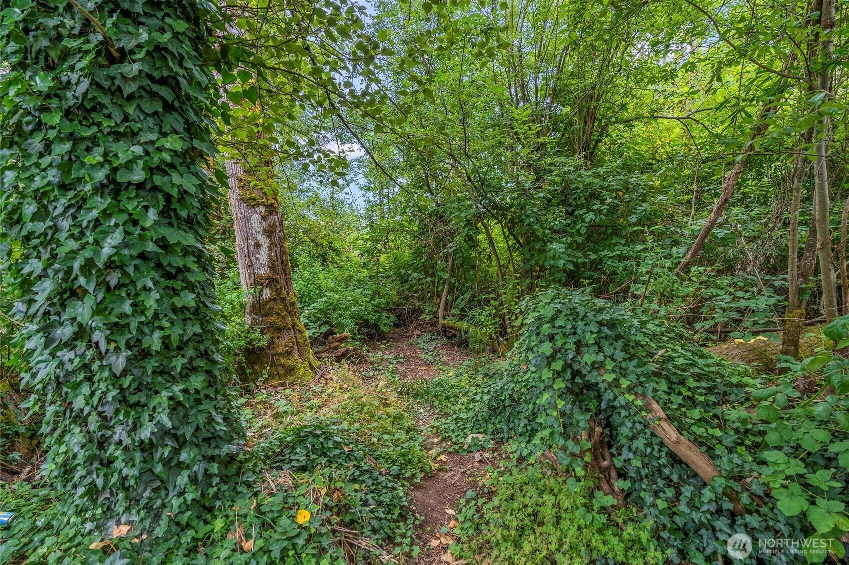 Property Photo: 0 S 360th WA 98001