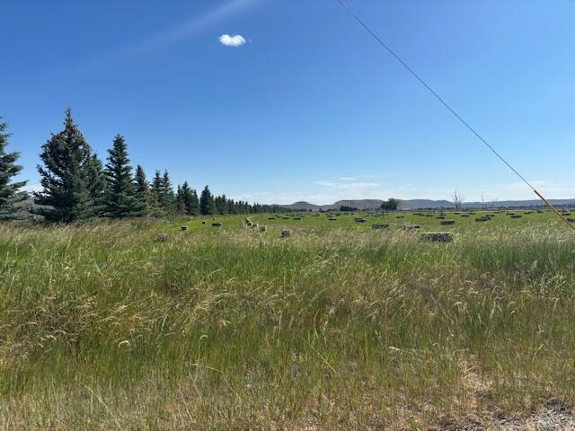 10410 State Highway 75  Bellevue ID 83313 photo