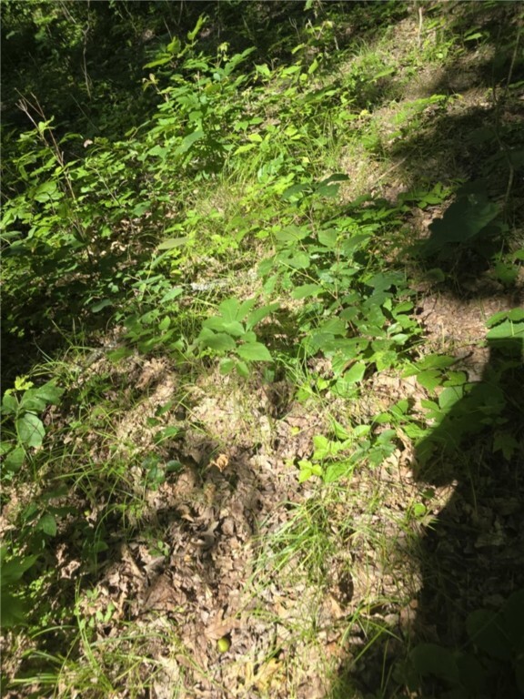 Property Photo: Whitcomb Road NY 14879