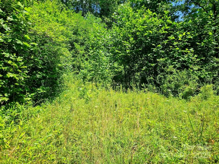 Property Photo:  99 Banjo Branch Road  NC 28714 