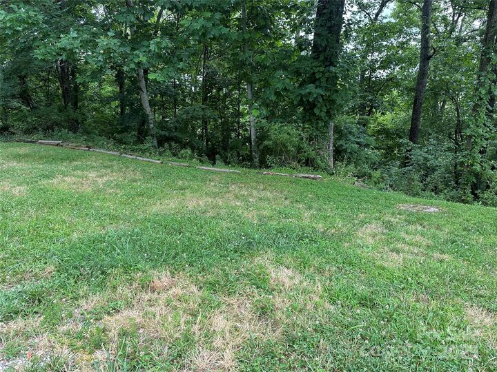 Property Photo: 109 Ladys Fern Trail NC 28739
