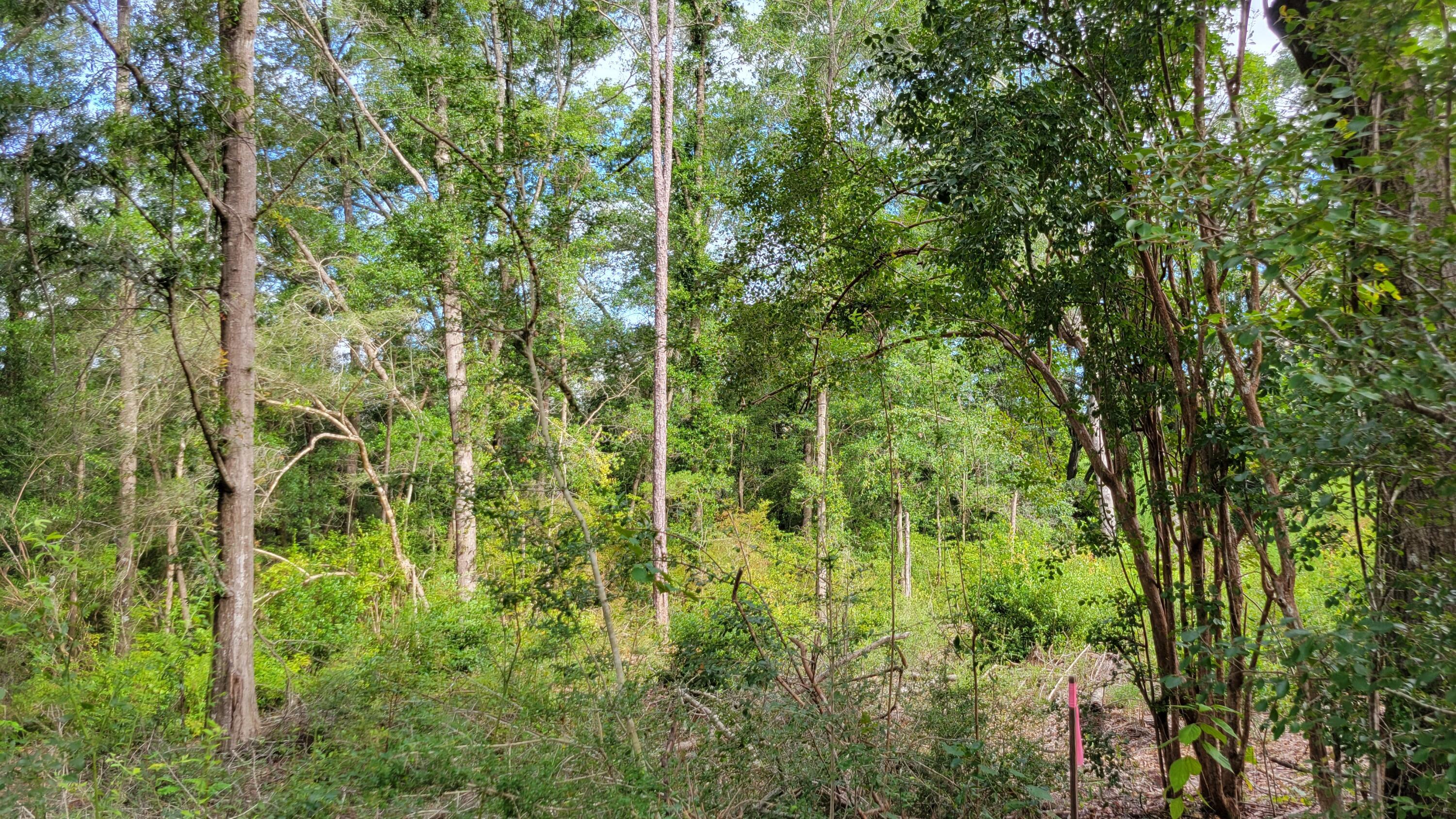 Property Photo: 00 NE Second Avenue FL 32539