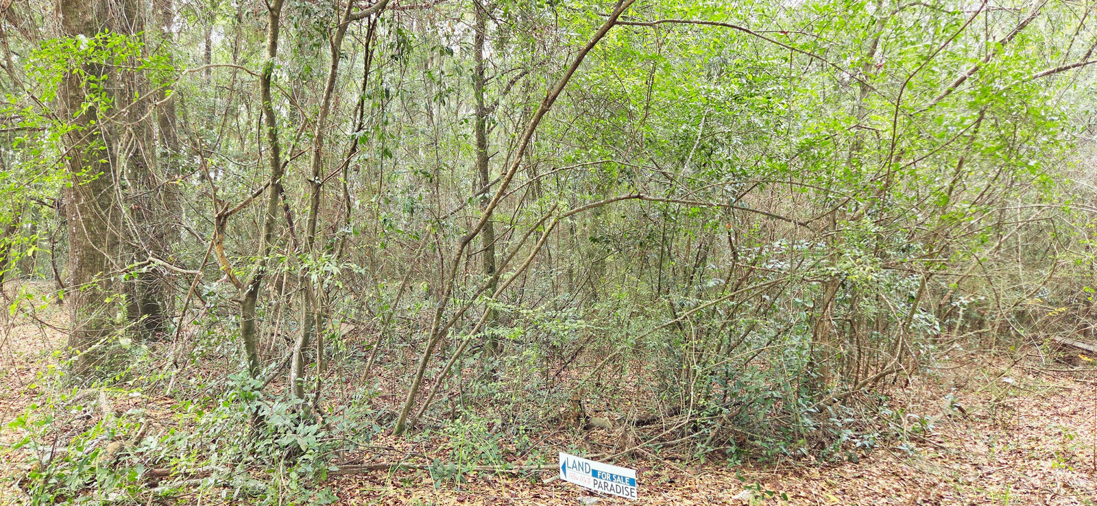 Property Photo:  00 NE Second Avenue  FL 32539 