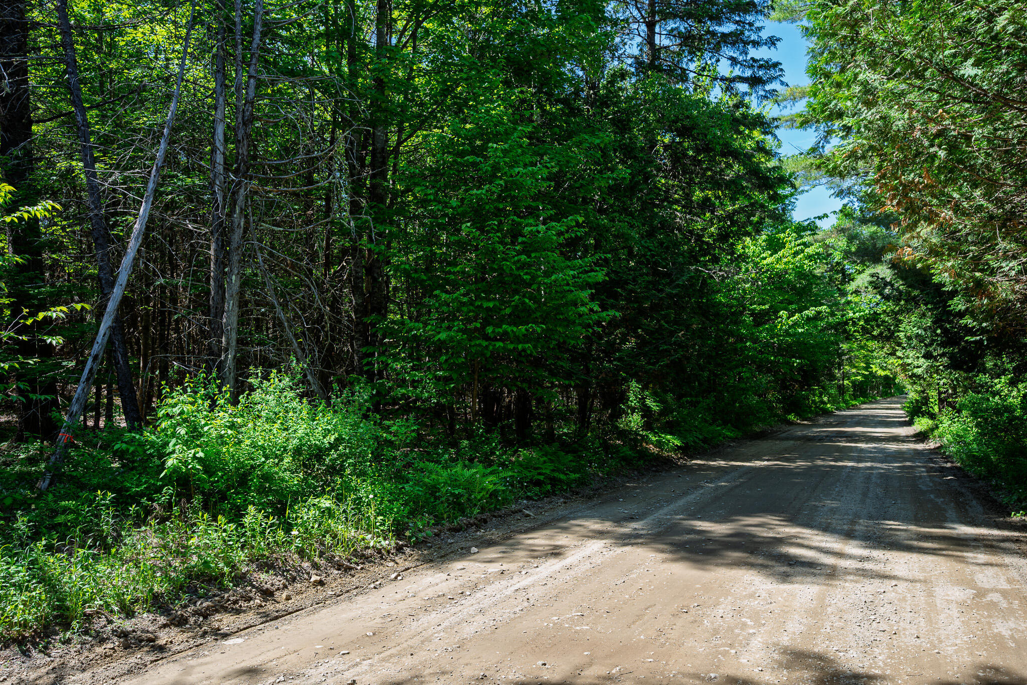 Property Photo:  Newport Lot 8 Murray Road  ME 04953 