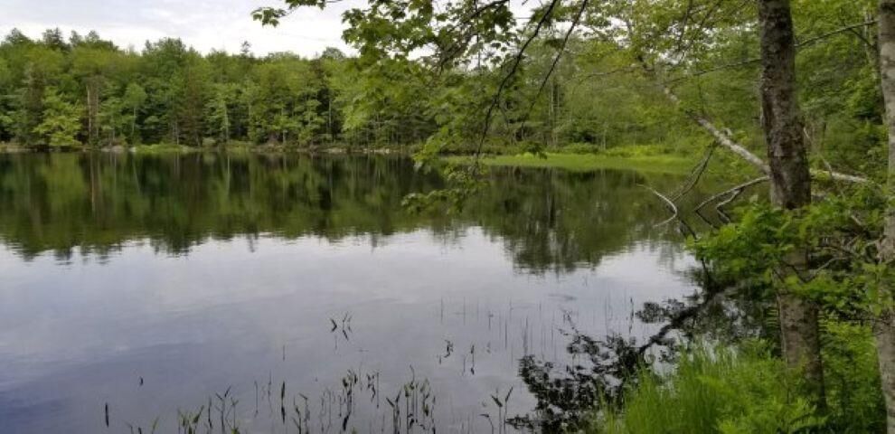Property Photo:  101 Lakeview Drive  NS B4V 6G6 
