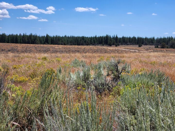Property Photo:  Oregon Pines Lot 2000  OR 97639 